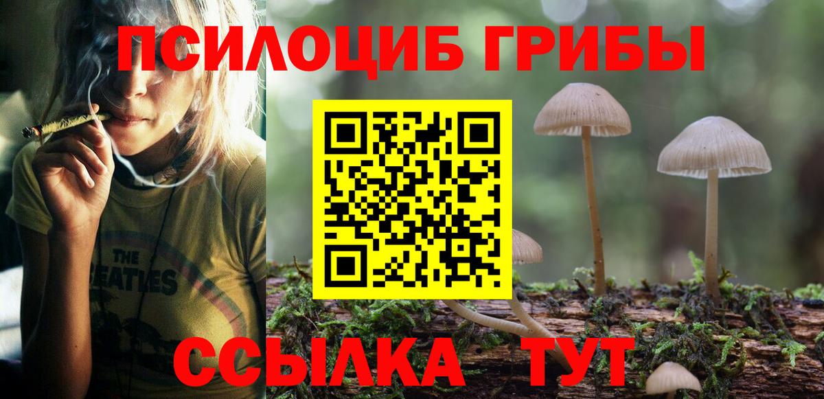Галлюциногенные грибы мухоморы  Вход с VPN  Северск 